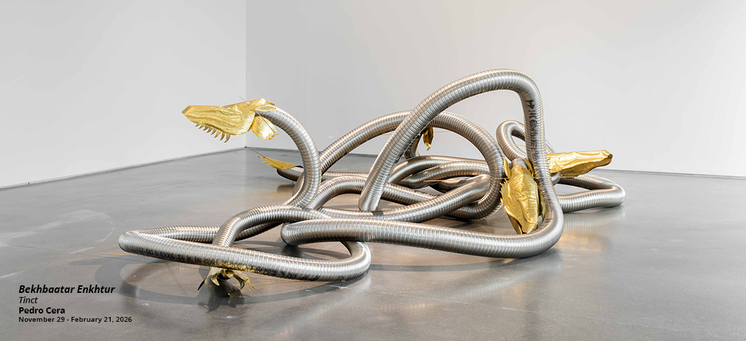 bekhbaatar-enkhtur-pedro -cera-madrid.jpg